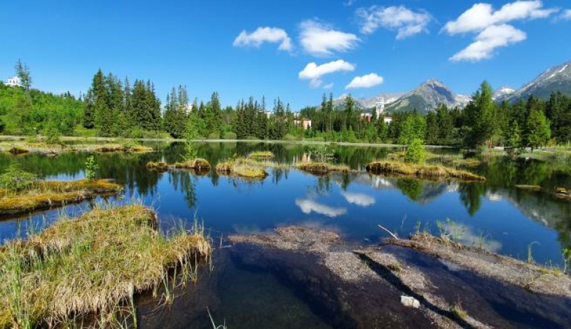 Hotel CROCUS **** Vysoké Tatry